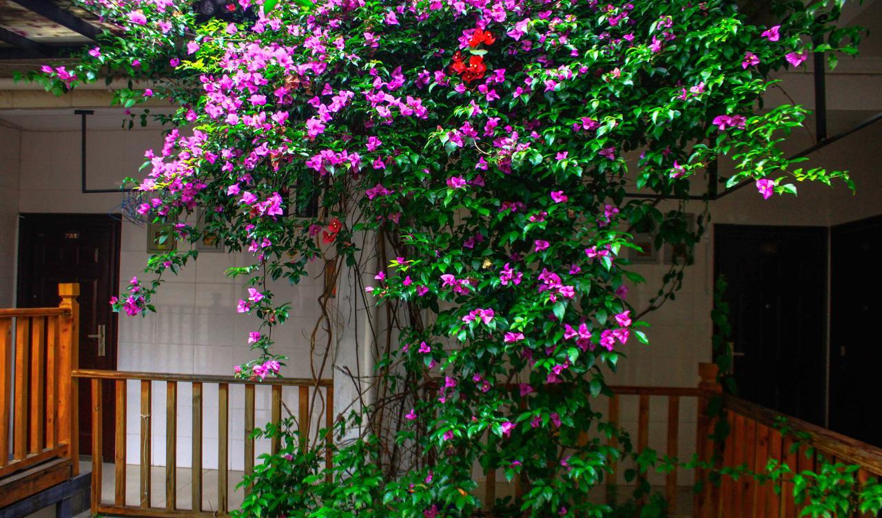 Dali Lao Shay Youth Hostel Extérieur photo